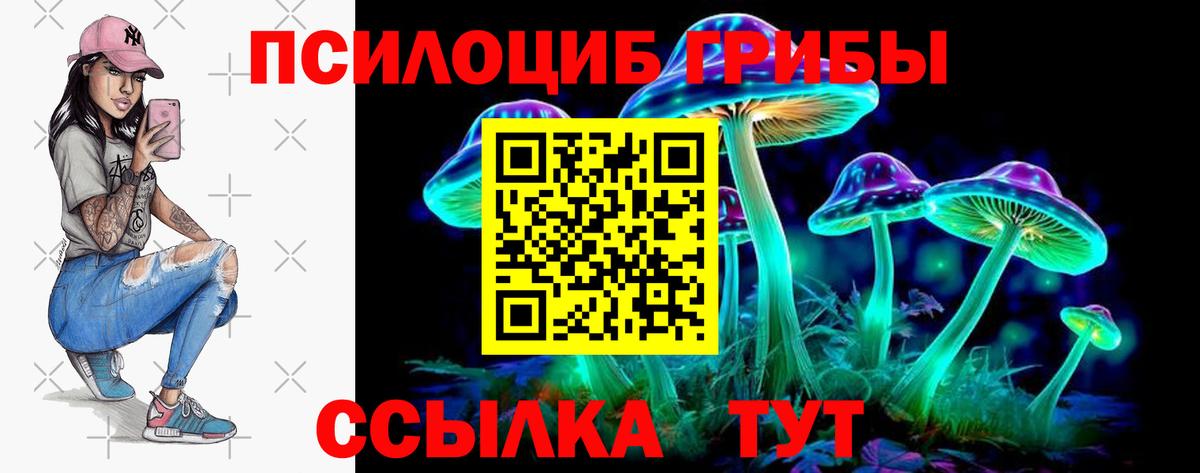 Галлюциногенные грибы GOLDEN TEACHER Кисловодск