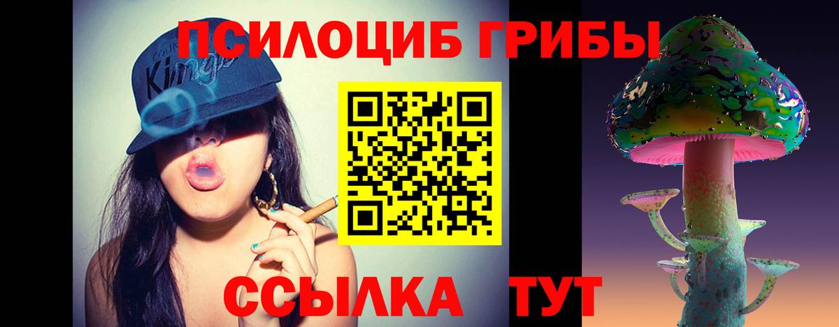Галлюциногенные грибы Psilocybe  Вход с VPN  Кисловодск 
